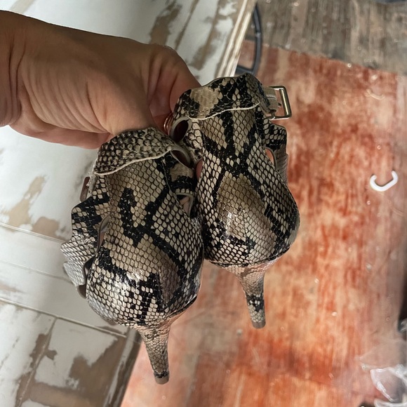 Chinese Laundry - Picture 5 of 5